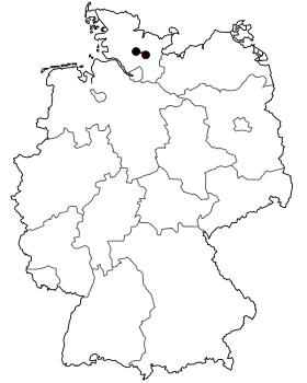 Image illustrative de l’article Bundesstraße 205