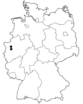 Image illustrative de l’article Bundesstraße 223