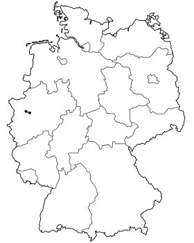 Image illustrative de l’article Bundesstraße 231