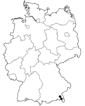 Image illustrative de l’article Bundesstraße 306