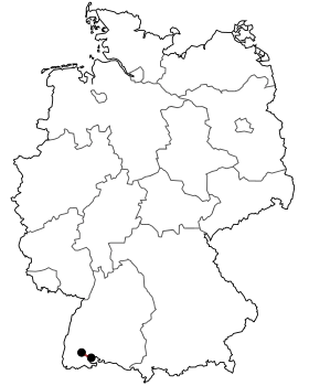 Image illustrative de l’article Bundesstraße 315