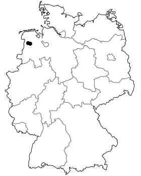 Image illustrative de l’article Bundesstraße 438