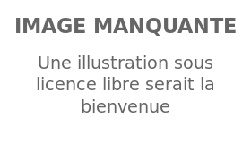 Image illustrative de l’article Pernell Whitaker