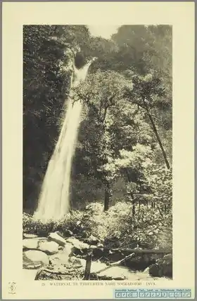 Cibeureum