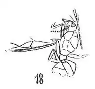 éch R648.